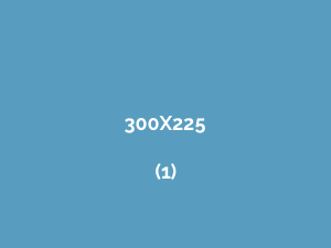 300x225-1