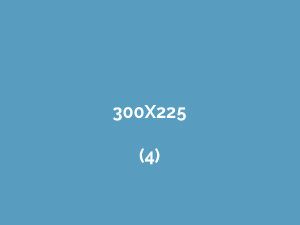 300x225-4