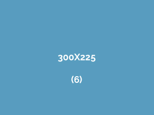 300x225-6