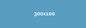 300x100